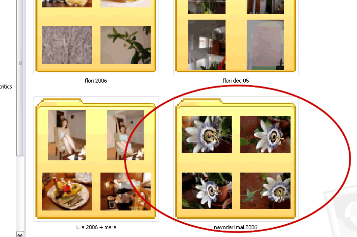 Windows photos folders 1