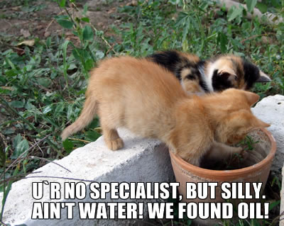 lolcats specialist