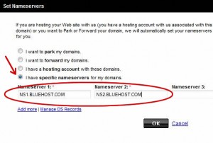 Replace GoDaddy's default name servers with the ones provided by your hosting company