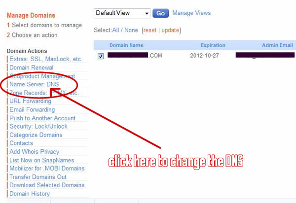 Choose Name Server: DNS to edit your nameservers